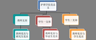 护理公司党总支介绍