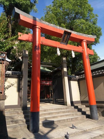 护士是给人幸福的职业(看�は人に幸せな仕事だ)